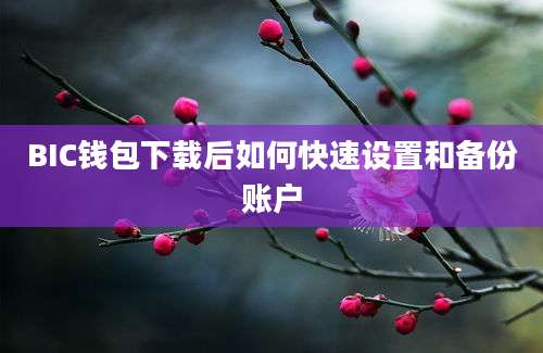 BIC钱包下载后如何快速设置和备份账户