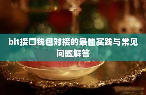 bit接口钱包对接的最佳实践与常见问题解答