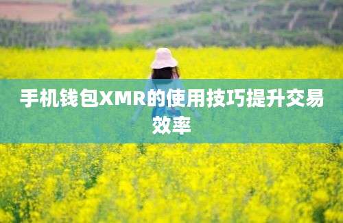 手机钱包XMR的使用技巧提升交易效率