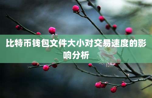 比特币钱包文件大小对交易速度的影响分析