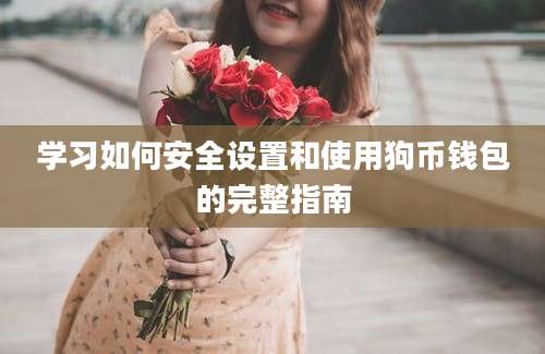 学习如何安全设置和使用狗币钱包的完整指南