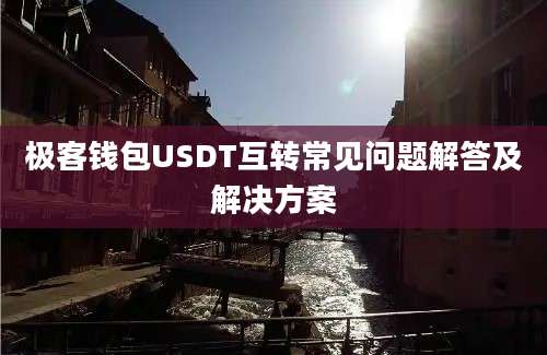 极客钱包USDT互转常见问题解答及解决方案