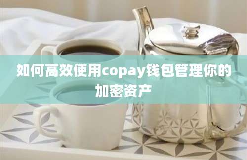 如何高效使用copay钱包管理你的加密资产