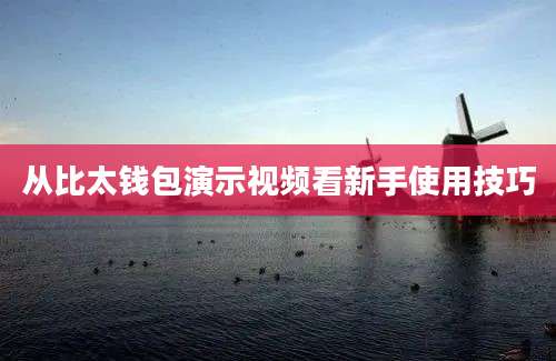 从比太钱包演示视频看新手使用技巧