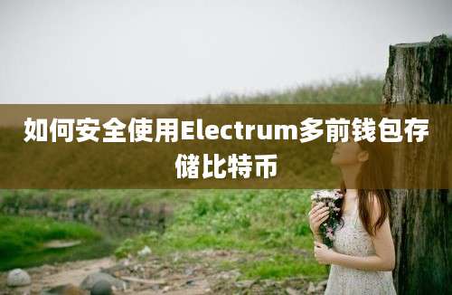 如何安全使用Electrum多前钱包存储比特币