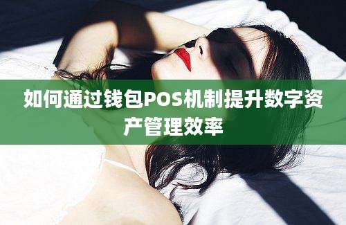 如何通过钱包POS机制提升数字资产管理效率