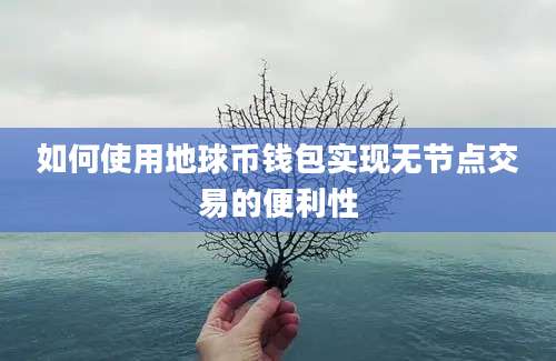 如何使用地球币钱包实现无节点交易的便利性