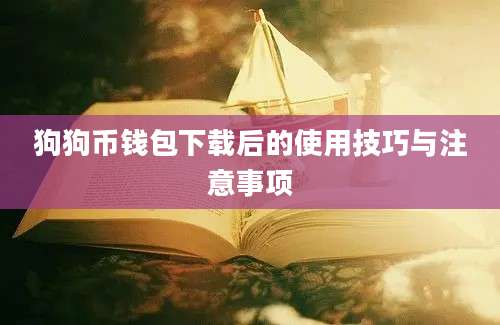 狗狗币钱包下载后的使用技巧与注意事项