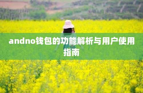 andno钱包的功能解析与用户使用指南