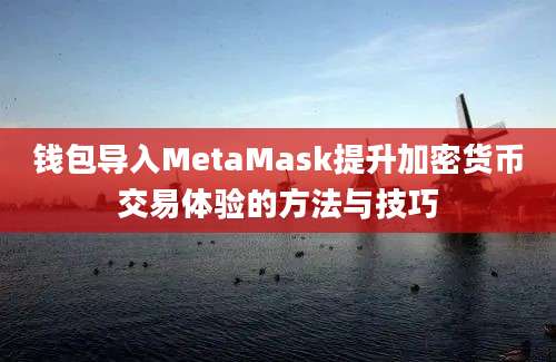 钱包导入MetaMask提升加密货币交易体验的方法与技巧