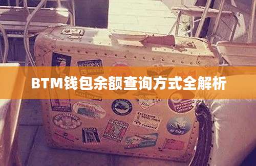 BTM钱包余额查询方式全解析