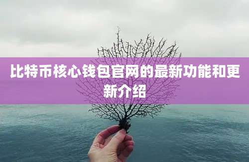 比特币核心钱包官网的最新功能和更新介绍