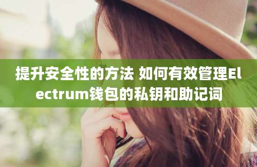 提升安全性的方法 如何有效管理Electrum钱包的私钥和助记词