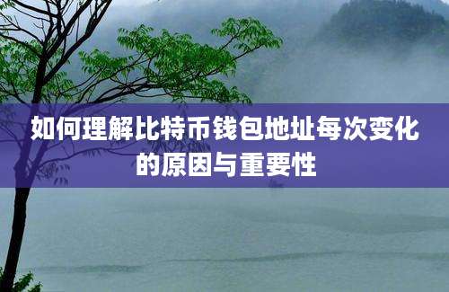 如何理解比特币钱包地址每次变化的原因与重要性