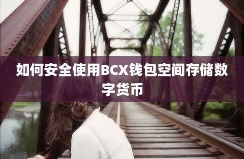 如何安全使用BCX钱包空间存储数字货币