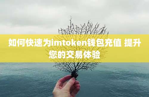 如何快速为imtoken钱包充值 提升您的交易体验