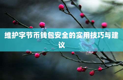 维护字节币钱包安全的实用技巧与建议