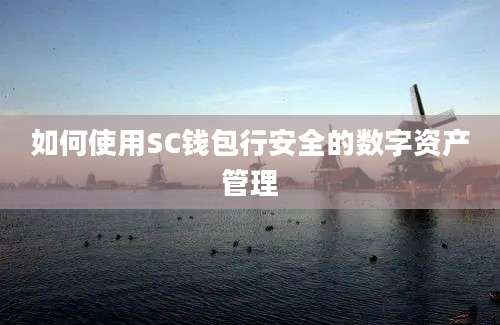 如何使用SC钱包行安全的数字资产管理