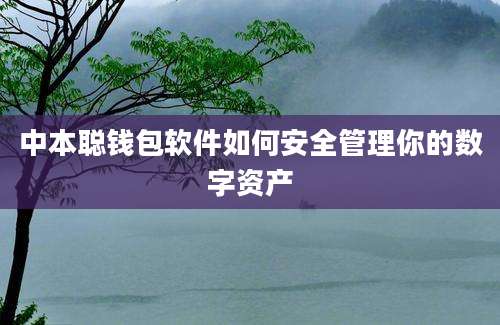 中本聪钱包软件如何安全管理你的数字资产