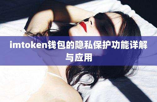 imtoken钱包的隐私保护功能详解与应用