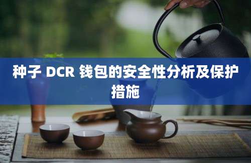 种子 DCR 钱包的安全性分析及保护措施