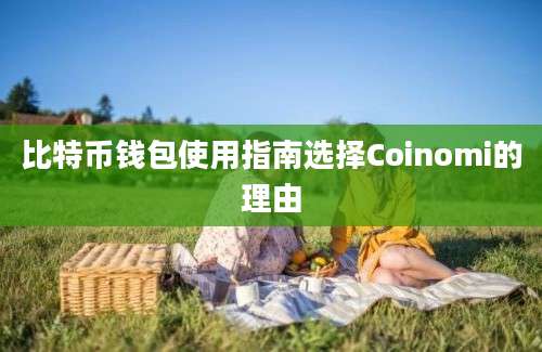 比特币钱包使用指南选择Coinomi的理由