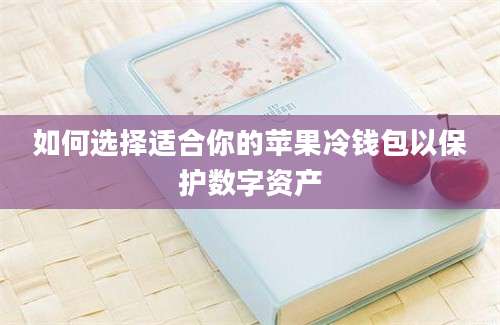 如何选择适合你的苹果冷钱包以保护数字资产