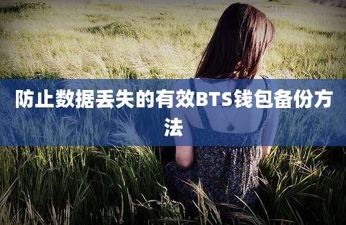 防止数据丢失的有效BTS钱包备份方法