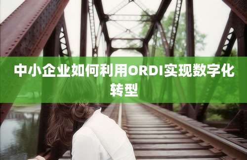 中小企业如何利用ORDI实现数字化转型