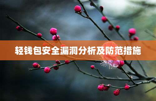 轻钱包安全漏洞分析及防范措施