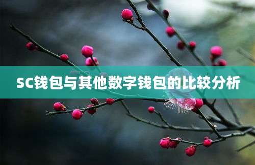 SC钱包与其他数字钱包的比较分析