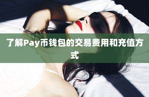 了解Pay币钱包的交易费用和充值方式