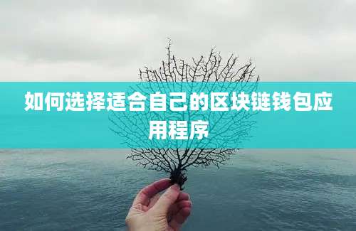 如何选择适合自己的区块链钱包应用程序