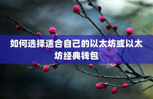 如何选择适合自己的以太坊或以太坊经典钱包