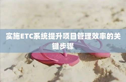 实施ETC系统提升项目管理效率的关键步骤