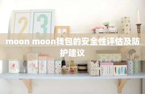 moon moon钱包的安全性评估及防护建议