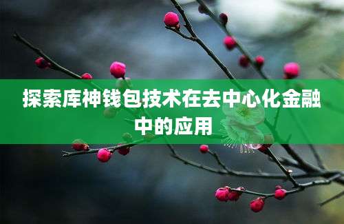 探索库神钱包技术在去中心化金融中的应用