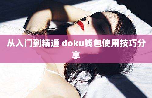 从入门到精通 doku钱包使用技巧分享