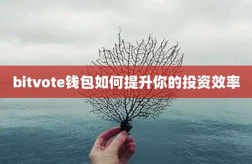 bitvote钱包如何提升你的投资效率