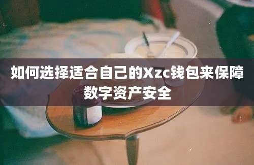 如何选择适合自己的Xzc钱包来保障数字资产安全