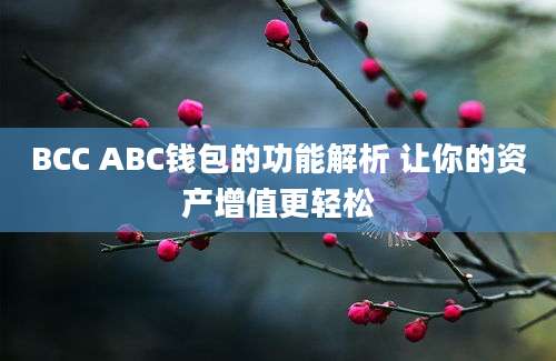 BCC ABC钱包的功能解析 让你的资产增值更轻松