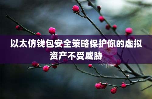 以太仿钱包安全策略保护你的虚拟资产不受威胁