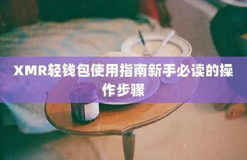 XMR轻钱包使用指南新手必读的操作步骤