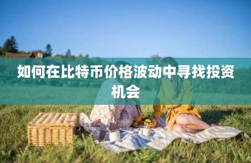 如何在比特币价格波动中寻找投资机会