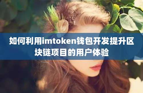 如何利用imtoken钱包开发提升区块链项目的用户体验