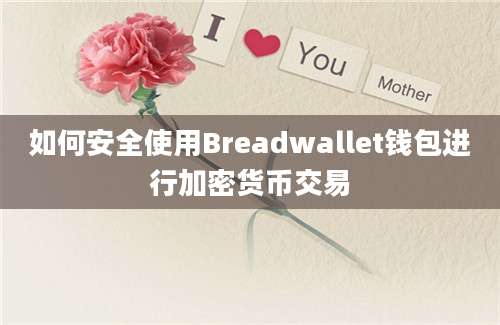 如何安全使用Breadwallet钱包进行加密货币交易