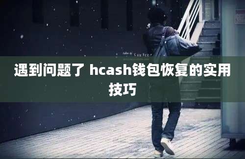 遇到问题了 hcash钱包恢复的实用技巧