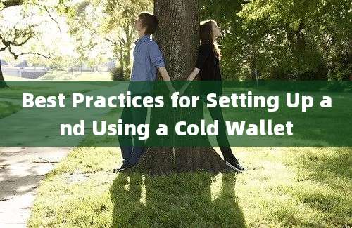 Best Practices for Setting Up and Using a Cold Wallet