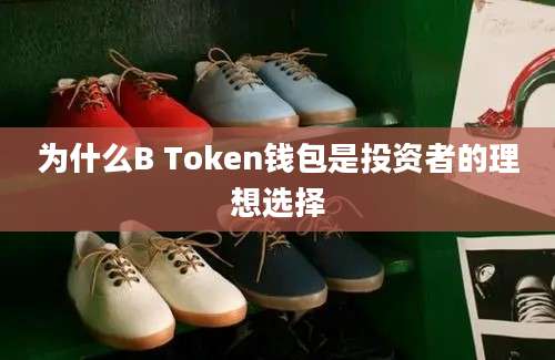 为什么B Token钱包是投资者的理想选择