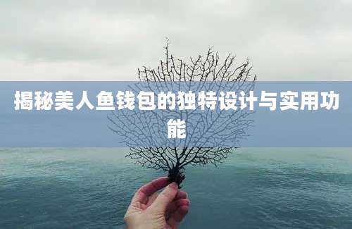 揭秘美人鱼钱包的独特设计与实用功能